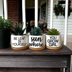 three potted plants sitting on top of a wooden table