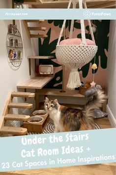 a cat sitting on top of a wooden floor next to a stair case filled with cats