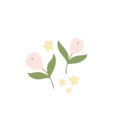 two pink flowers with green leaves and yellow flowers on the bottom right hand side, against a white background