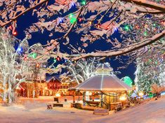 a gazebo surrounded by christmas lights in the snow