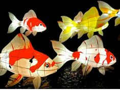 lighted paper fish are floating in the water