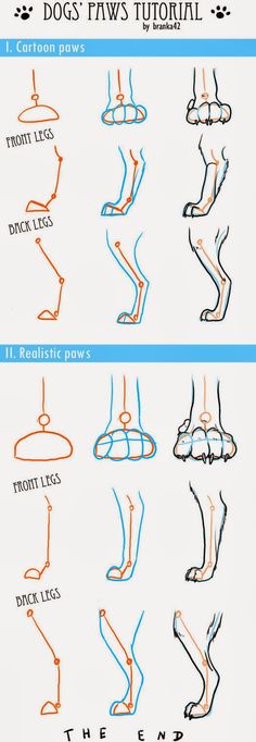 how to draw the legs and feet of a dog with different positions for each leg