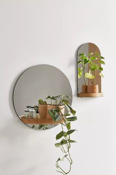 two mirrors are hanging on the wall with plants in vases and potted plants