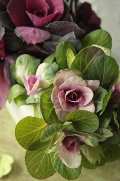 purple flowers in a white vase with green leaves