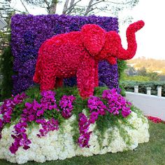 a man and woman standing next to a giant elephant made out of flowers