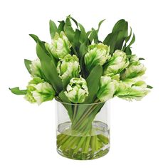 a vase filled with green and white flowers