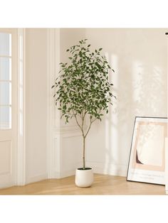 a potted plant sitting on top of a wooden table next to a framed photograph