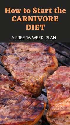 Text: "How to Start the Carnivore Diet - A free 16 week plan" and a image of three pieces of steak being cooked on a grill Lion Diet, Persian Recipes, Paneer Tikka, Keto Foods, Diets For Beginners