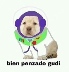 a dog wearing a space suit with the caption, bien penzado guidi