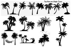 the silhouettes of palm trees and hammocks