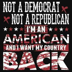 I'm ashamed of BOTH parties. If the GOP doesn't get behind Trump, Killary will continue obama's destruction of America. American Patriot, Benjamin Franklin, American Pride, Labor Day, Satire, The Words, Memorial Day