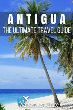 a palm tree on the beach with text overlay that reads, antiqua the ultimate travel guide