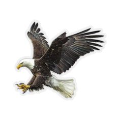 an eagle flying through the air with its wings spread