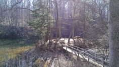 a wooden bridge over a small stream in the woods