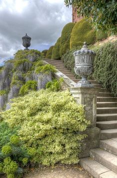 the stairs lead up to an outdoor garden area with plants and shrubs on either side