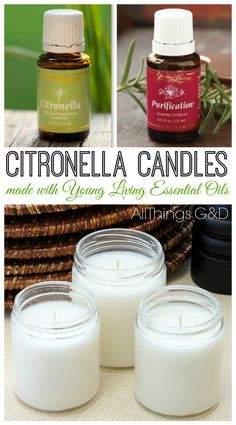 three candles with the words citronella candles made with young living essential oils on them