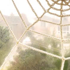 a spider web in front of a window with the sun shining on it's side