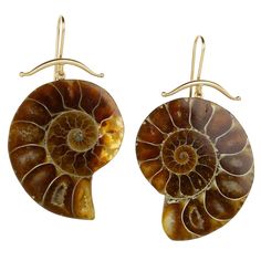 Gabriella Kiss 14k Large Ammonite Earrings | Quadrum Gallery Ammonite Earrings, Gabriella Kiss, Hudson Valley Ny, Fibonacci Spiral, Tattoo Now, Heart Eyes, Fall Style, Hudson Valley, Ancient History