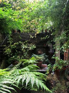 an outdoor area with lots of plants and trees