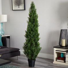 a living room filled with furniture and a tall green tree in the center of the room