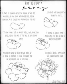 the instructions for how to draw peony flowers