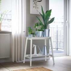 a white table with some plants on it