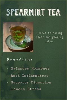 a cup of tea with the words spearmint tea on it and information about its benefits