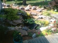 the back yard is full of rocks and plants, along with a small wooden deck