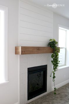 a living room with a fire place and a plant on the mantel above it