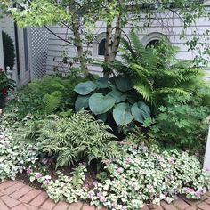 the garden is full of green plants and pink flowers in front of a white house