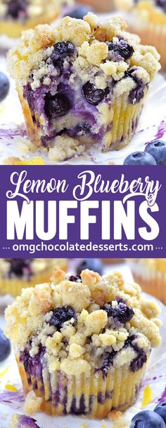 lemon blueberry muffins with fresh blueberries in the middle and on top