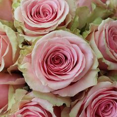 a bouquet of pink roses with green leaves