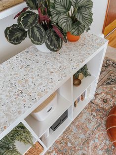 a plant is sitting on top of a white shelf