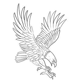 an eagle flying with its wings spread