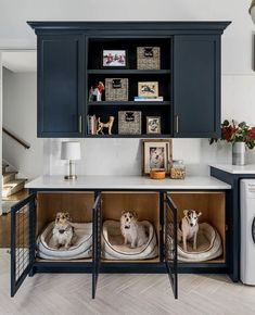 two dogs are sitting in their beds under the cabinets