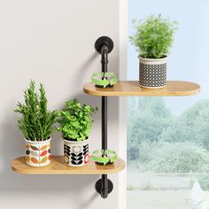 two wooden shelves with plants on them in front of a window and another shelf holding potted plants