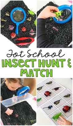 the insect hunt and match activity is fun for kids to do with their own hands