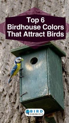 a bird house with the words top 6 birdhouse colors that attract birds on it