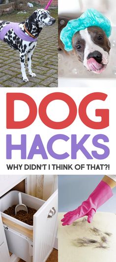 dog hacks why don't i think of that?