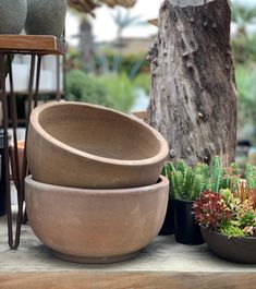 several potted plants are sitting on a table next to each other in front of a tree