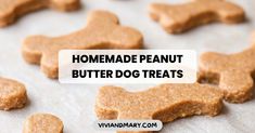 homemade peanut butter dog treats on a baking sheet with the words homemade peanut butter dog treats