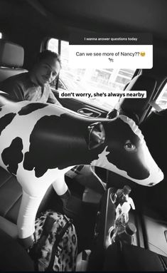 a woman sitting in the back seat of a car with a fake cow head on it