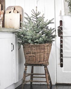 a christmas tree in a wicker basket on top of a wooden stool next to a kitchen counter