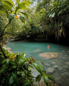 a man is swimming in a pool surrounded by trees and rocks, near the edge of a forest