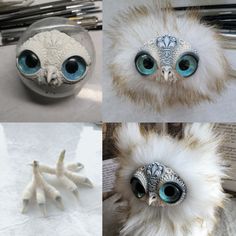 four different pictures of an owl with blue eyes