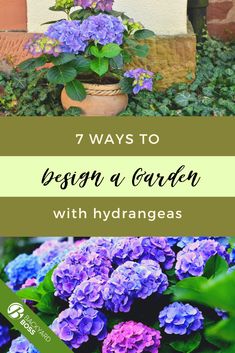 purple flowers with green leaves and the words 7 ways to design a garden with hydrangeas