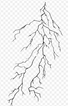 a black and white drawing of a tree branch with no leaves on it, transparent background