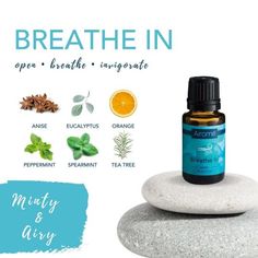 Blend of: Anise, eucalyptus, orange, peppermint, spearmint, tea tree CLEAR THE AIR: Diffuse to encourage mindful breathing. USE: Use 3-5 drops per 100 mL of water with a diffuser. Airome Breathe In Blend is an open blend that is minty and airy. A fresh and minty blend. Diffuse it seasonally to invigorate the senses and for feelings of easy breathing. All Airome Oils carry our P.L.A.N.T. Promise: Pure, Lab-tested for quality, All-natural, Non-GMO, Therapeutic Grade. They are sourced from farms ar Country Scents Candles, Spearmint Tea, Specialty Candles, Mindful Breathing, Essential Oils For Kids, Aromatherapy Benefits, Lord Murugan, Essential Oil Blend, Linen Spray