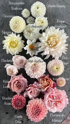 a bunch of flowers sitting on top of a stone slab with names in english and spanish