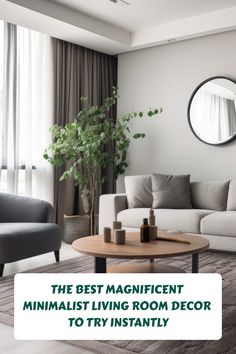 the best magnificent minimalist living room decor to try